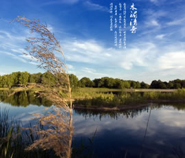 新義水鄉(xiāng)中醫(yī)藥浴康養(yǎng)、黃龍溪古鎮(zhèn)二日游