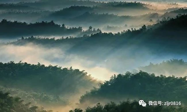 蜀南竹海 蜀南竹海