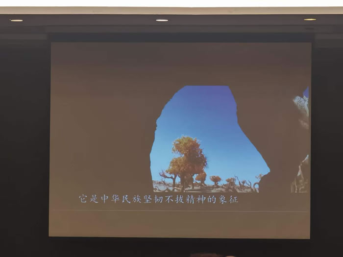 綿陽中旅行假日旅行社舉行胡楊林、南疆專列推薦會