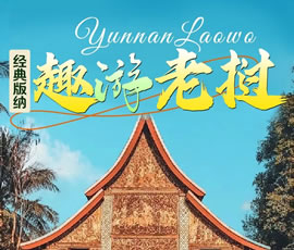 【趣游老撾 · 經(jīng)典版納】—昆明、普洱、西雙版納、磨丁、瑯勃拉邦四動(dòng)8日游